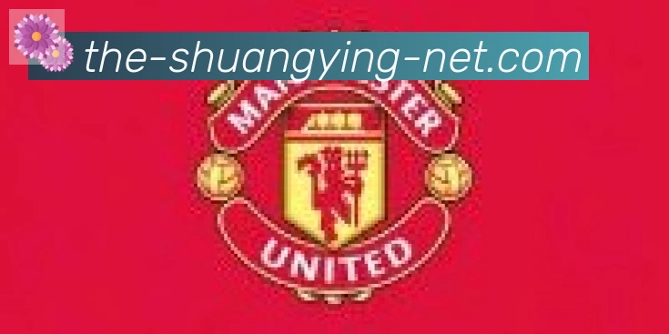 双赢彩票入口合作伙伴